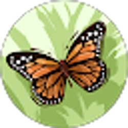 Profile photo of Denise Hawkins