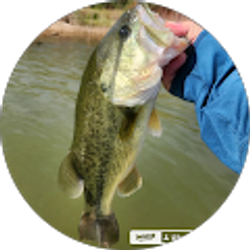 Profile photo of Brandon “The Fishing Mechanic” Lee