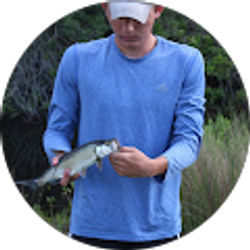 Profile photo of Alek Filtz