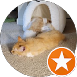 Profile photo of Daryl Schurr