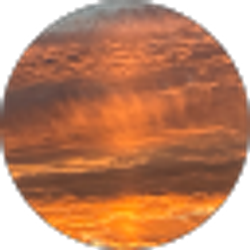 Profile photo of Patrick Morin