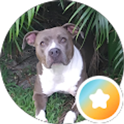 Profile photo of Pam Peanut