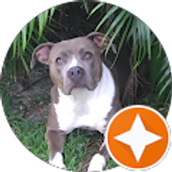 Profile photo of Pam Peanut