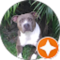 Profile photo of Pam Peanut