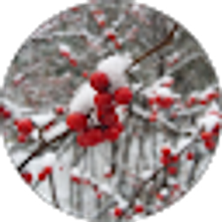 Profile photo of Annette McCans