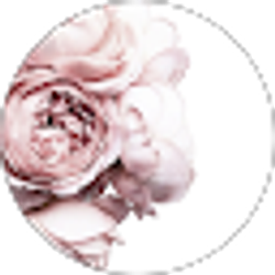 Profile photo of Sarah Astrin