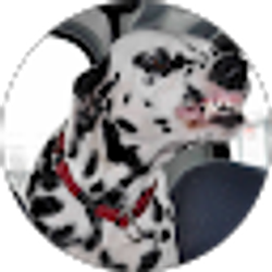 Profile photo of Antonio villarreal