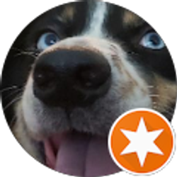 Profile photo of Brandon