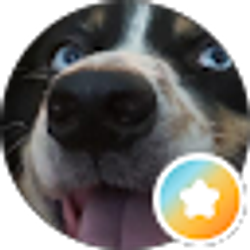 Profile photo of Brandon