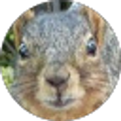 Profile photo of Saill White