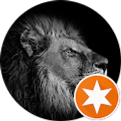 Profile photo of luis alicea