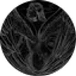 Profile photo of Dorthy R Lee