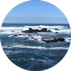 Profile photo of Mike B