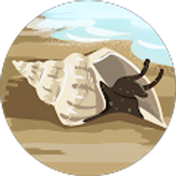 Profile photo of N D