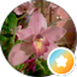 Profile photo of Denise Staub