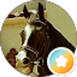Profile photo of Troy Palmer