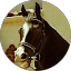 Profile photo of Troy Palmer