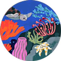 Profile photo of Haily McDonald