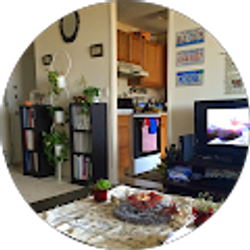 Profile photo of shehanaz ellika