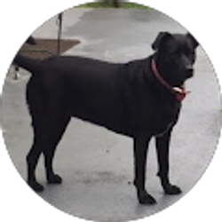 Profile photo of Lana Manns