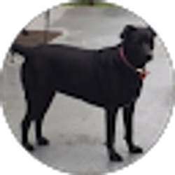 Profile photo of Lana Manns