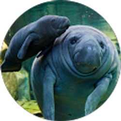 Profile photo of Dan Butterworth