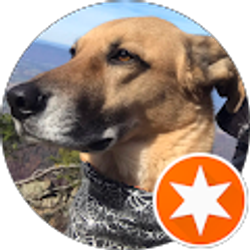 Profile photo of Jenifer Cornell