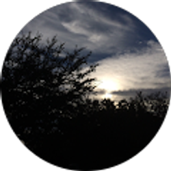 Profile photo of Hunter Todd