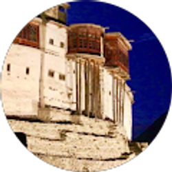 Profile photo of Night Knight