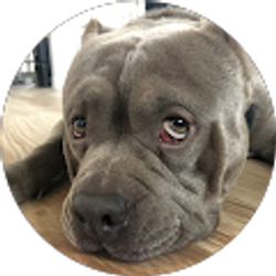 Profile photo of Jessica Suh