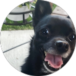 Profile photo of Fox 16