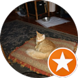 Profile photo of Anne Colestock