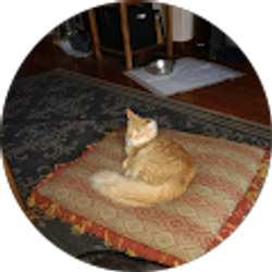 Profile photo of Anne Colestock