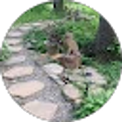 Profile photo of Annalisa Traina