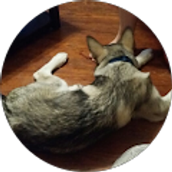 Profile photo of Mathew Schwab