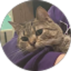 Profile photo of Lindsey Harvell