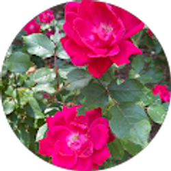 Profile photo of Amy Hamilton