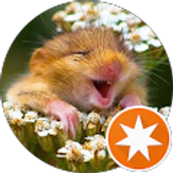 Profile photo of Evangeline Papadopoulos