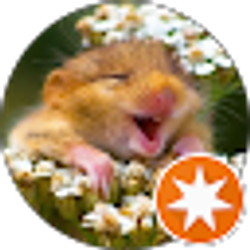 Profile photo of Evangeline Papadopoulos