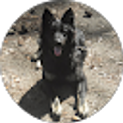 Profile photo of A Young