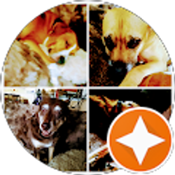 Profile photo of Maria Bailey