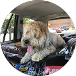 Profile photo of Kyle Foster