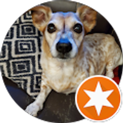 Profile photo of Brenda Thomson