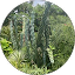 Profile photo of Google Account