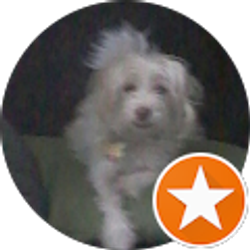 Profile photo of Lori Terry