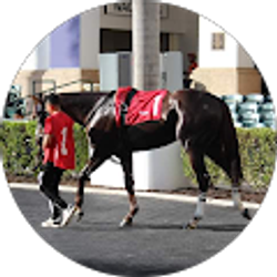 Profile photo of Ronaldo Rodriguez