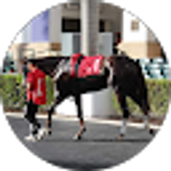 Profile photo of Ronaldo Rodriguez