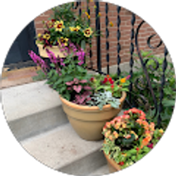 Profile photo of Ann Stewart