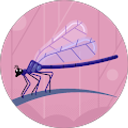 Profile photo of Charlotte