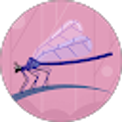 Profile photo of Charlotte